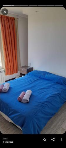 a blue bed with two pillows on top of it at OLIEMI in El Calafate
