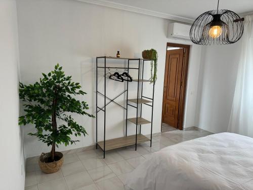 a room with a shelf with shoes and a plant at ENTOELCENTRO in Baeza