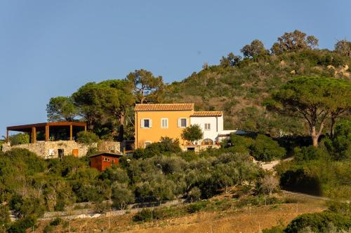 Paesaggio naturale nelle vicinanze del bed & breakfast