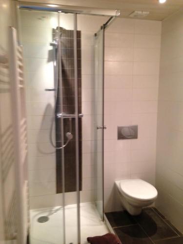 Charmant appartement 3 pers Perrache Confluence في ليون: حمام مع دش ومرحاض