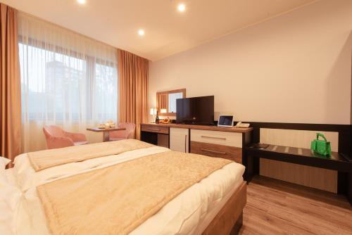 a hotel room with a bed and a desk and a television at Hotel Viktor in Bratislava