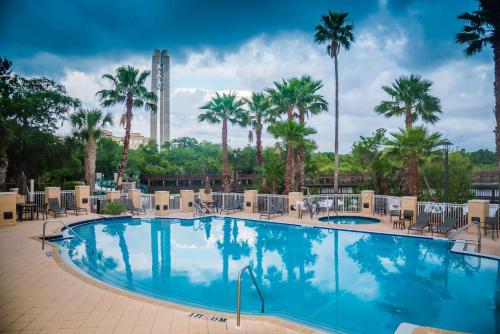 a large swimming pool with chairs and palm trees at Hilton St. Petersburg Carillon Park in St Petersburg