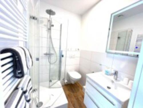 Kapitaenshaus-Lassen-Zimmer-Robinson-Crusoe في فيسترلاند: حمام مع دش ومرحاض ومغسلة