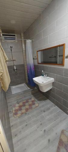 een badkamer met een wastafel en een douche bij T4 la douane in Bejaïa
