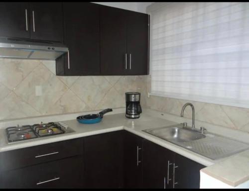 Η κουζίνα ή μικρή κουζίνα στο Apartamentos Tampico-Altamira