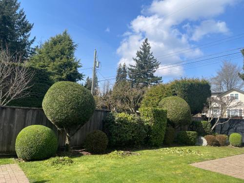 a garden with several bushes and a fence at Campus Haven in Vancouver