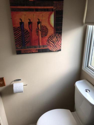 a bathroom with a toilet and a painting on the wall at Southview cedar bank 6 in Skegness