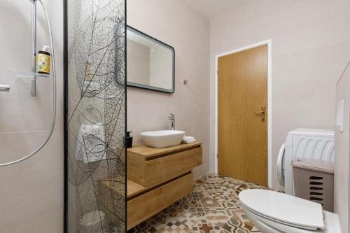 a bathroom with a sink and a toilet and a mirror at Holiday house with a parking space Drnis, Zagora - 22772 in Drniš