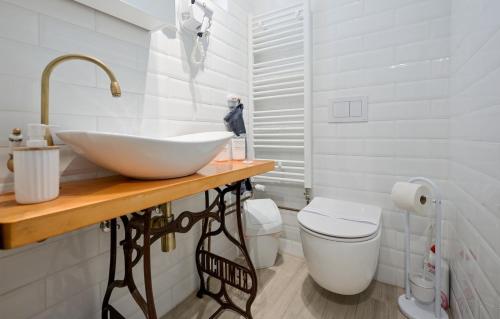 ein Bad mit einem Waschbecken und einem WC in der Unterkunft Holiday house with a parking space Cresnjevo, Zagorje - 22808 in Beretinec