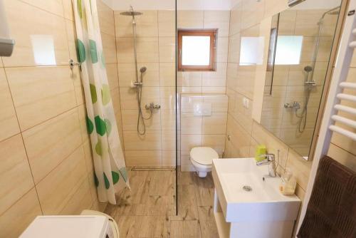 a bathroom with a toilet and a sink and a shower at Holiday house with a swimming pool Lecevica, Zagora - 22829 in Lećevica