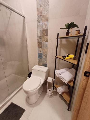 ein Bad mit einem WC und einer Dusche in der Unterkunft Suite en el centro de la ciudad de Cuenca in Cuenca