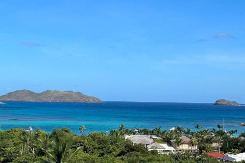 a view of the ocean with houses and palm trees at Appartement 2 chambres en plein cœur de St Jean in Saint Barthelemy