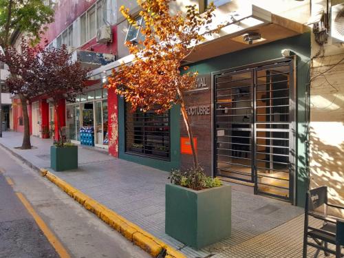 a tree in front of a store on a street at Edificio Recoleta - Hoteles Recoleta in Buenos Aires