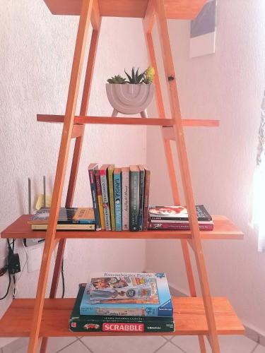 una estantería de madera con libros y una planta en ella en La casa gris, en Tulum