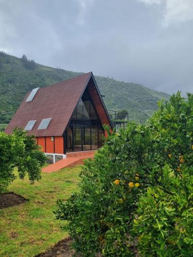 a house with a roof with a tree in front of it at Destinos Exclusivos Patate in Patate