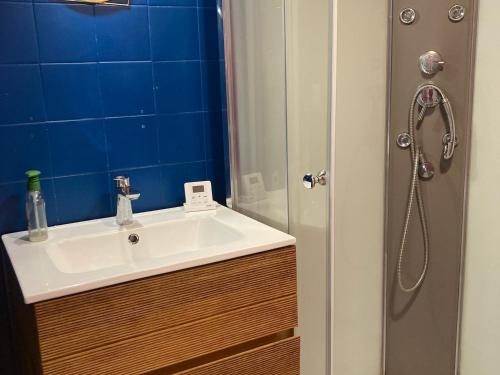 ein Bad mit einem Waschbecken und einer Dusche in der Unterkunft Maison Locmaria, 4 pièces, 6 personnes - FR-1-418-245 in Locmaria