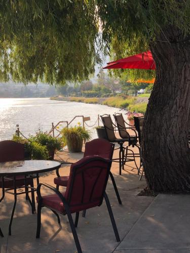 a group of tables and chairs with a tree and water at Sun Beach Motel in Osoyoos