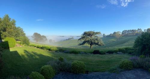 un jardín con un árbol en medio de un campo en Haven Hills, en Korumburra