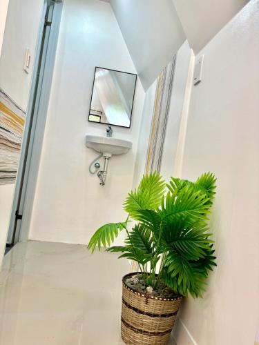 a bathroom with a sink and a potted plant at Villa Lovi Panagsama Beach Moalboal in Moalboal