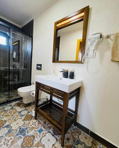 a bathroom with a sink and a toilet and a mirror at Villa La Altragracia in Constanza