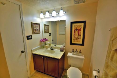 a bathroom with a toilet and a sink and a mirror at Higher Altitude in Gatlinburg