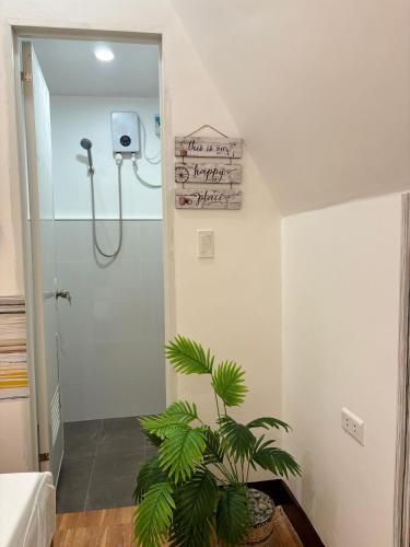 a bathroom with a shower and a plant in it at Villa Lovi Panagsama Beach Moalboal in Moalboal