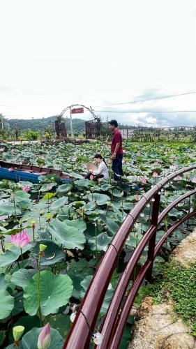 Gallery image of Homestay Dream hill in Cat Tien