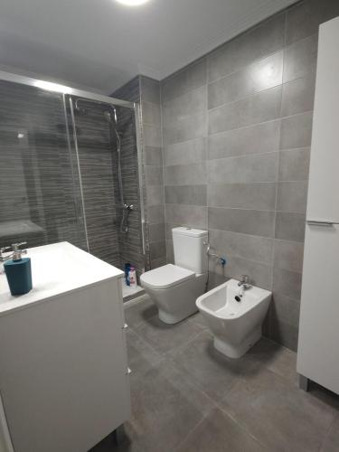 a bathroom with a toilet and a sink and a shower at Duplex labradores centro 8PAX, PARKING INCLUIDO in Logroño