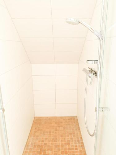 a shower with a glass door in a bathroom at Ferienhaus Ostseelodge in Schönberg