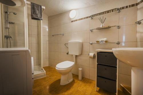 a bathroom with a toilet and a sink at Casa ‘Crystal’ in Novigrad Istria