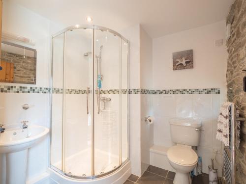 a bathroom with a shower and a toilet and a sink at Eirlys Llanrhystud in Llanrhystyd