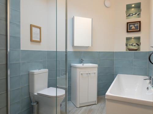 a bathroom with a toilet and a sink and a mirror at Ty Cam Abercych in Abercych