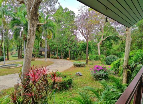 Taman di luar Kong Garden Resort