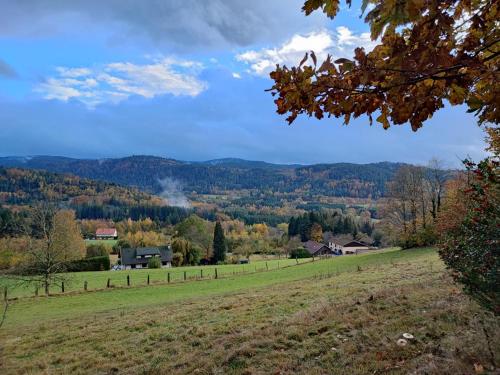 a view of a field with trees in the distance at Refuge au coeur des Vosges in Aumontzey