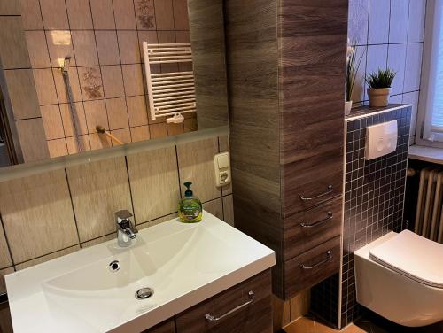 Koupelna v ubytování Ferienwohnung Achatz
