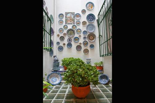 Un jardín fuera de Casa de Reyes
