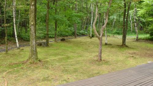a park with trees and grass and a wooden walkway at HANOOTO Kitakarauizawa in Tsumagoi