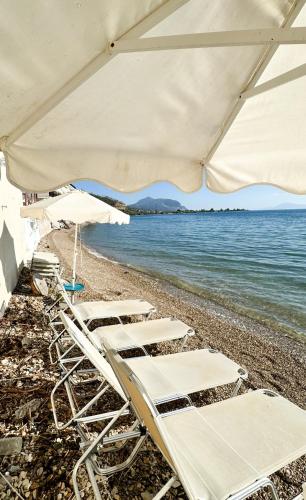 Φυσικό τοπίο κοντά σε αυτό το διαμέρισμα