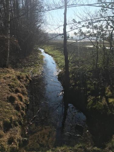 a stream in the middle of a field with trees at Charmante woning op rustig park met fietsen in Epe