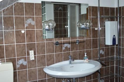 a bathroom with a sink and a mirror at Almer Ferienwohnung in Brilon