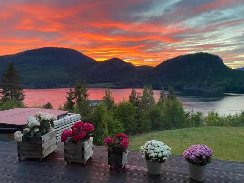 a group of flowers sitting on a deck with a sunset at Panorama Cabin with 5-bedrooms near Norefjell in Gubberud