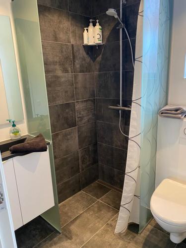 a bathroom with a shower and a toilet at Siesta Vejle in Vejle