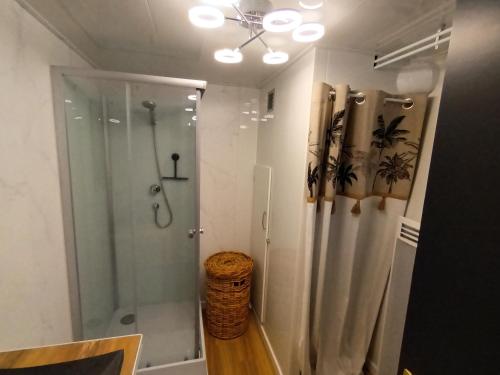 y baño con ducha y cortina de ducha. en Appartement tout confort, en Le Fresne-Camilly