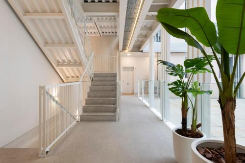 Magno Apartments O´Donnell photo 48