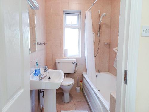uma casa de banho com um WC, um lavatório e um chuveiro em Robins Roost Cornamona em Cornamona