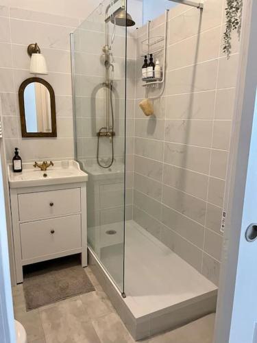 een badkamer met een glazen douche en een wastafel bij Le grand Louis, hypercentre in Cherbourg en Cotentin
