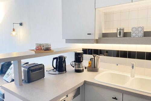 eine Küche mit einer Spüle und einer Arbeitsplatte in der Unterkunft Amazone, centre-ville & parking in Annecy