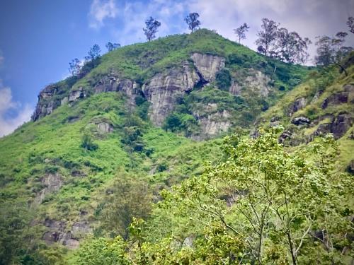 a mountain with trees on top of it at Robinson’s path3 in Badulla