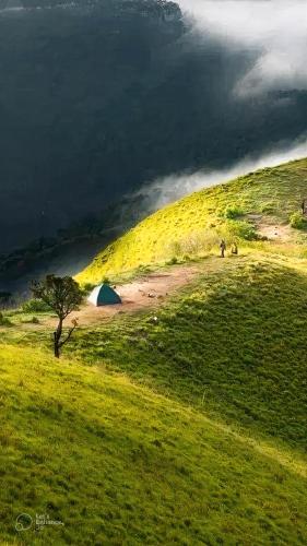 a tent in the middle of a field with a tree at Robinson’s path3 in Badulla