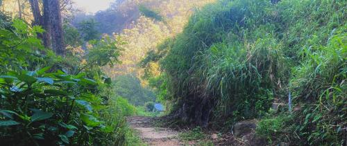 een onverharde weg in het midden van een berg bij Robinson’s path3 in Badulla